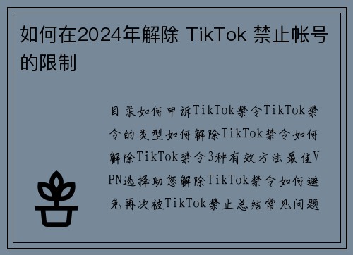 如何在2024年解除 TikTok 禁止帐号的限制